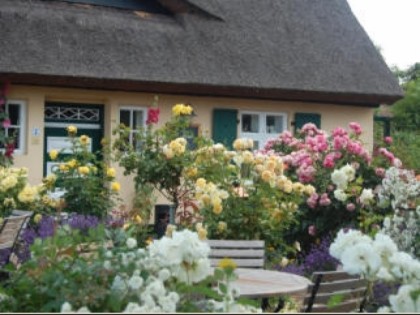 照片: Rosengarten